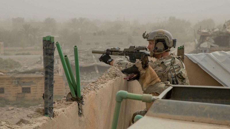 Блинкен призвал открыть два КПП в Сирии для доставки гумпомощи