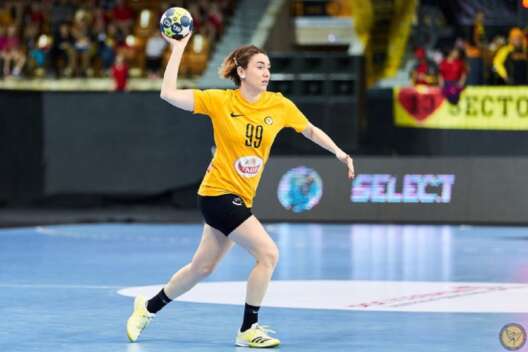 
            Гандбольная сборная отказывается от лидеров        