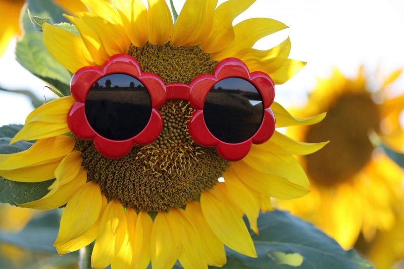 Аномальные +40 в тени: синоптик рассказал, когда в Украине станет еще жарче