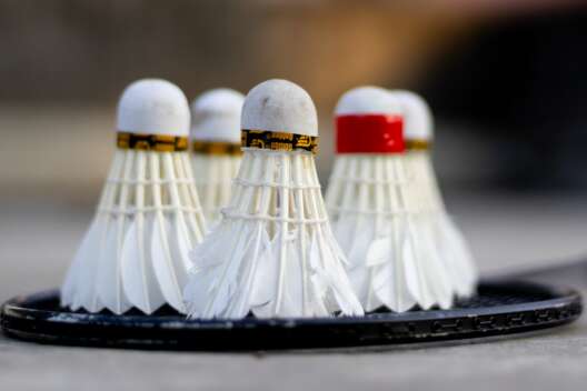 Лучшие бадминтонисты Европы встретятся в Киеве