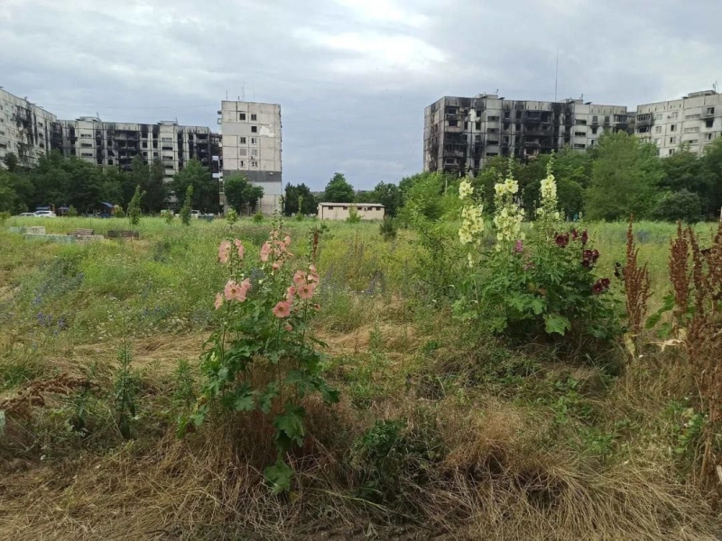 В Мариуполе оккупантам нет дела до благоустройства города – кругом сорняки, а жители страдают от аллергии